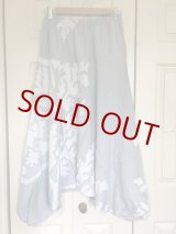 画像: パレオサルエル